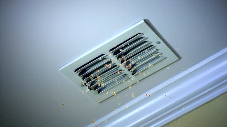 Cheval, FL Airduct Cleaning Pros