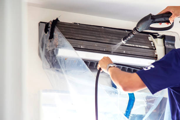 Best Air Vent Cleaning Services  in Cheval, FL