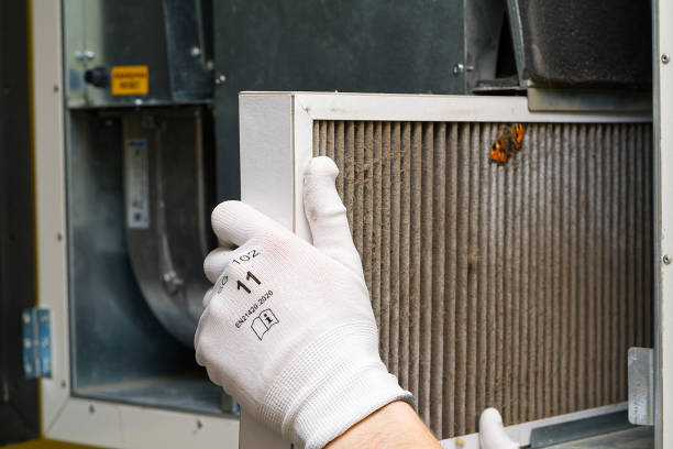 Best Commercial HVAC Duct Cleaning  in Cheval, FL
