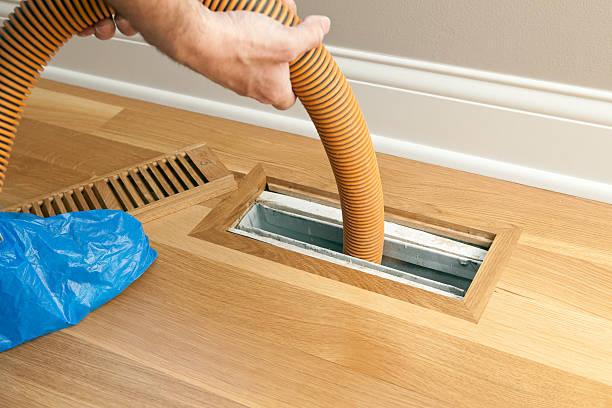 Best Dryer Vent Cleaning Services  in Cheval, FL