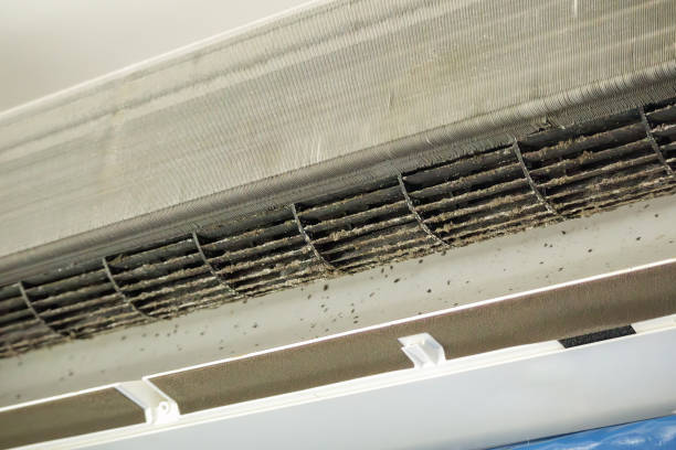 Best HVAC System Cleaning  in Cheval, FL