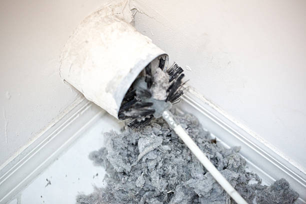 Best Best Air Duct Cleaning Company  in Cheval, FL