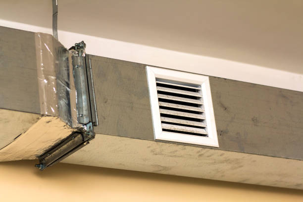 Best Residential Air Duct Cleaning  in Cheval, FL